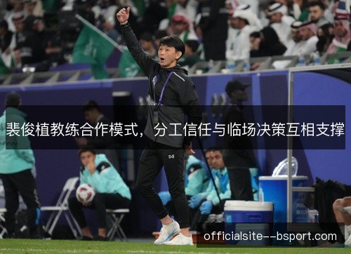 裴俊植教练合作模式,分工信任与临场决策互相支撑 裴俊植教练合作模式,分工信任与临场决策互相支撑